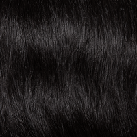 Thee Silk Press (Seamless Clip Ins)